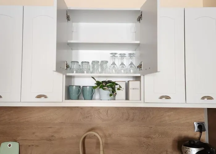 Cozy Spacious In Apartament